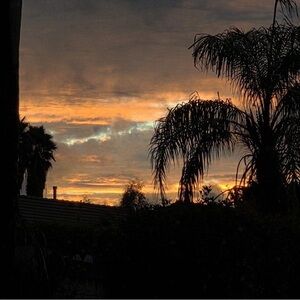 Meet your Posher, Rae